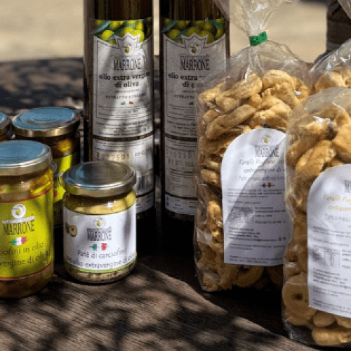 newsletter carby (3)